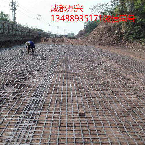 凸節(jié)點(diǎn)土工格柵 凸節(jié)點(diǎn)土工格柵