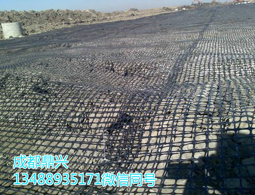 雙向拉伸塑料土工格柵 雙向拉伸塑料土工格柵