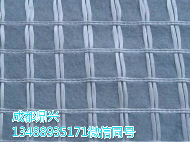 經(jīng)編玻纖、滌綸復(fù)合土工布