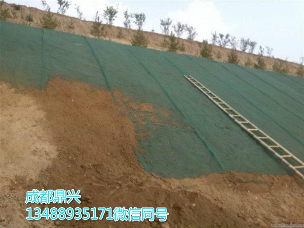 三維植被網(wǎng)