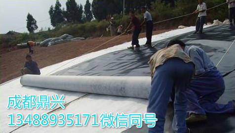 復(fù)合土工膜