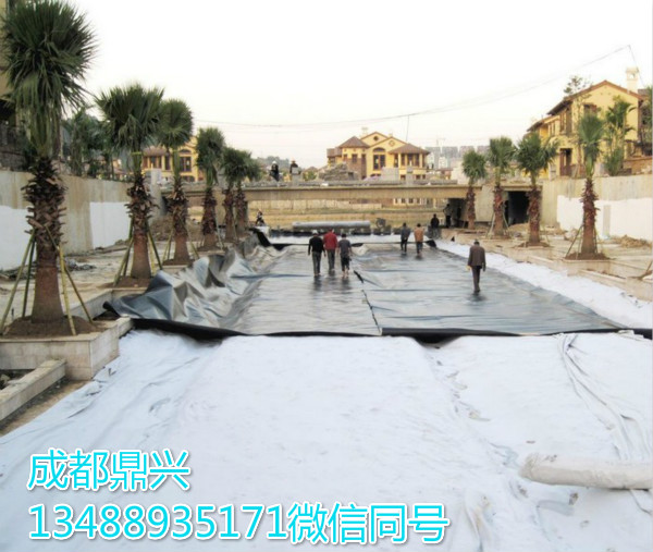 復(fù)合土工膜