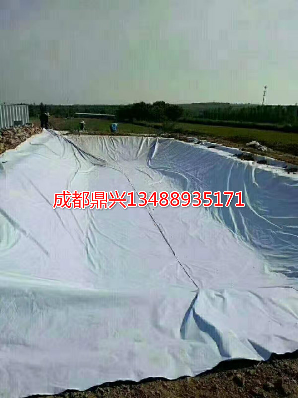 藕池(魚塘)防滲土工膜