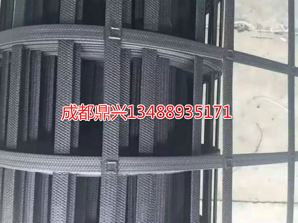 塑料土工格柵