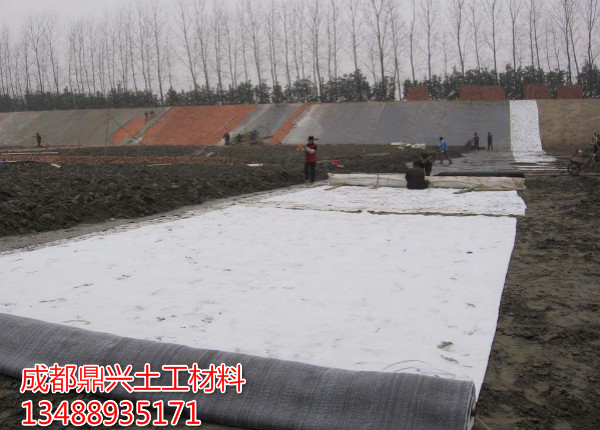 膨潤土防水毯