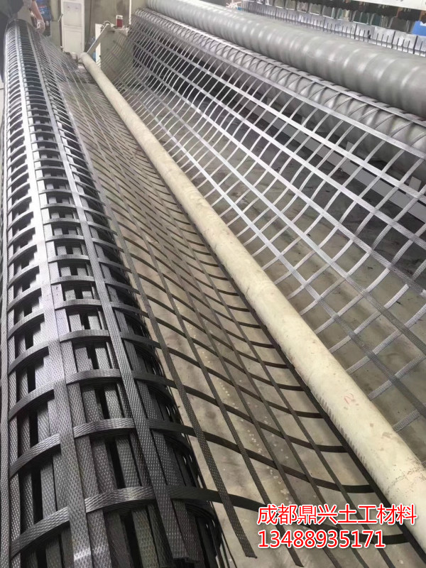 鋼塑土工格柵